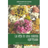 La vita in una colonia spirituale